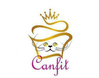 مجموعه میهمان و میزبان