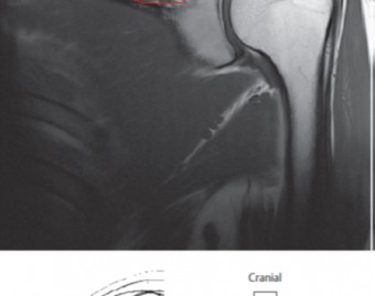 دانشگاه علوم پزشکی