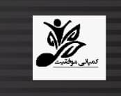 کمپانی موفقیت