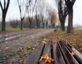 مانوئل اوهانجانیانس