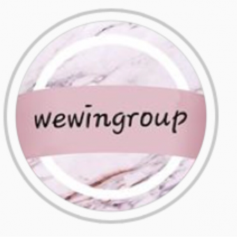 گروه وی وین