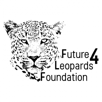 موسسه آینده ای برای پلنگ ها