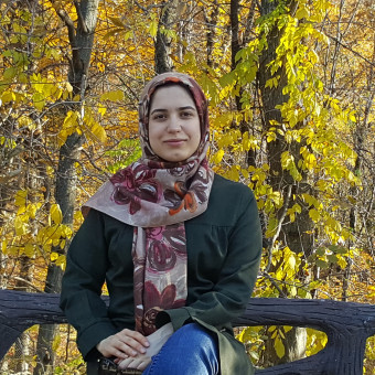 فاطمه محمدی