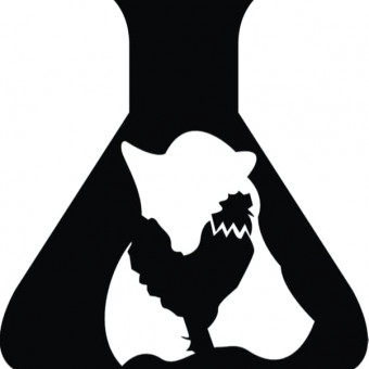 کیمیا دانش الوند