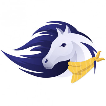 پینتو آکادمی