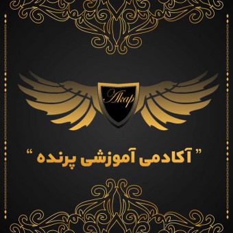 آکادمی آموزشی پرنده