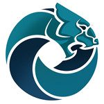 توسعه صادرات و تبادل فناوری ریتون