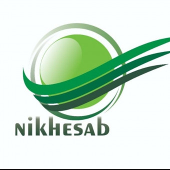 گروه نیک حساب