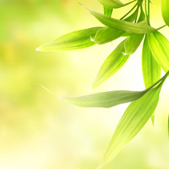 مرکزمشاوره مهربانی