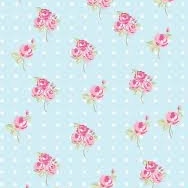 موسسه دانش مامایی