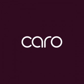 مدرسه کسب و کار کارو