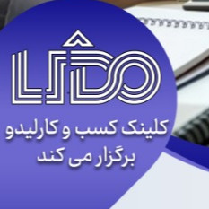 کلینیک کسب و کارلیدو