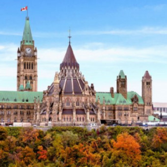 هلدینگ پروگرسیو