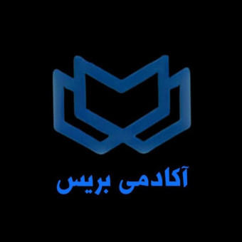 آکادمی بریس