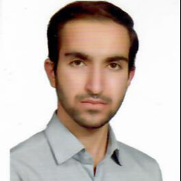 محمد مهدی چیت ساز