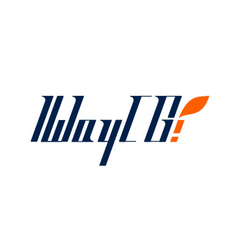 شرکت توسعه کسب و کار راه ایده آل