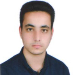 محسن رضایی دوتویی