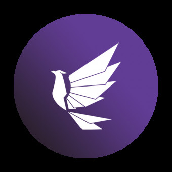 آکادمی رایا پارس