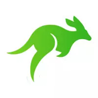 آژانس دیجیتال مارکتینگ کانگورو