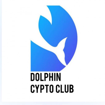 گروه ارزدیجیتال دلفین