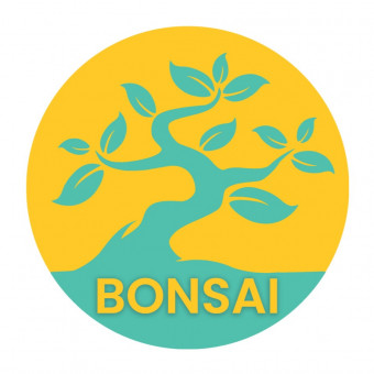 آکادمی نوآوری در کسب و کار بونسای