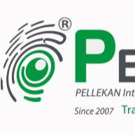 موسسه دارایی های فکری و فناوری پلکان