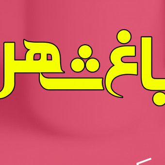 موسسه باغ شهر