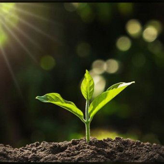 مریم مشتاقی