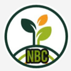 آزاده نشاط آور