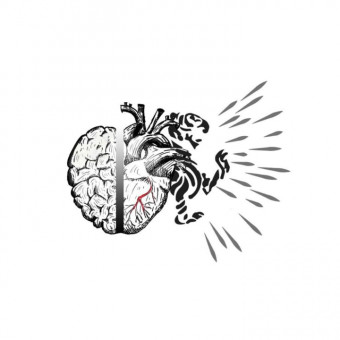 پیدا آکادمی