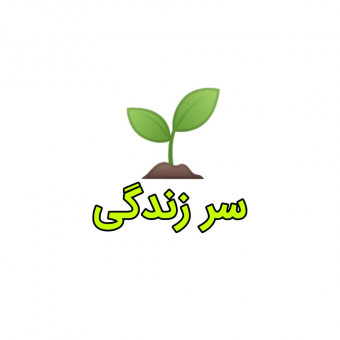 مرکز آموزش مهارت های زندگی سالم سرزندگی