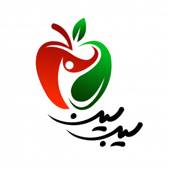 مجموعه آموزشی سیب سین
