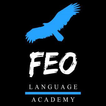 آکادمی فئو
