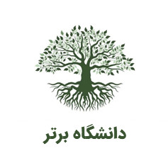 دانشگاه برتر