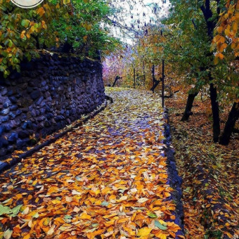 موسسه حقوقی پژواک حقیقت