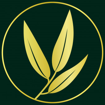 آکادمی اکالیپتوس