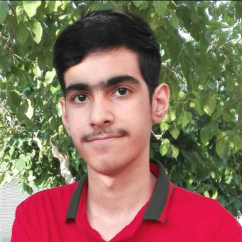 پارسا مردانیان