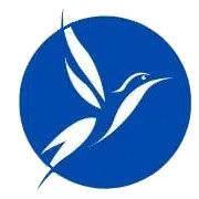 امیدار ویزا