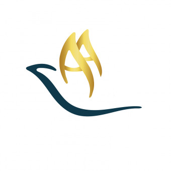 موسسه مهاجرتی آتیه آفرینان ایرانیان