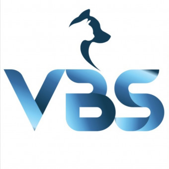 شرکت ویهان بهار سورنا (وی بی اس)