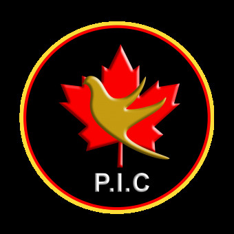 سازمان مهاجرتی پارس ویزا