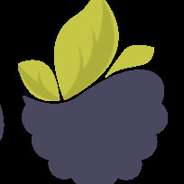 شرکت نرم افزاری شاتوت