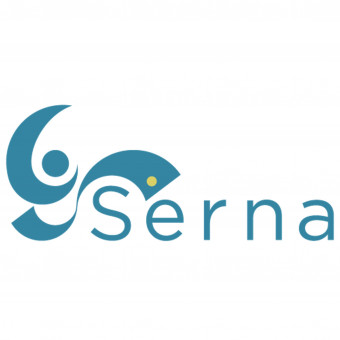 هلدینگ سرنا