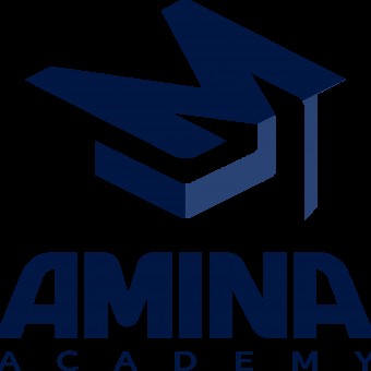 آکادمی آمینا