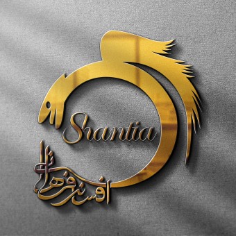 آکادمی تخصصی شنتیا