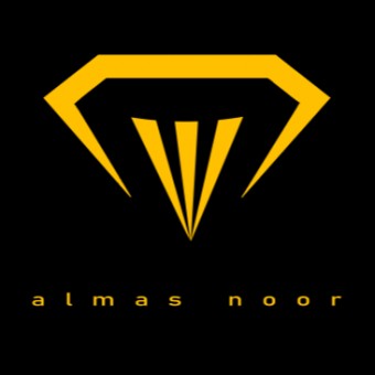 موسسه کسب و کار الماس نور (آکادمی مالی دانان)