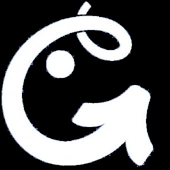 تیم آموزشی گرنتیچ