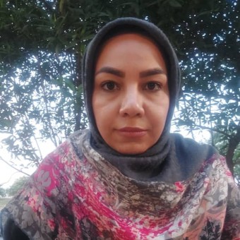 بینه سادات صدر