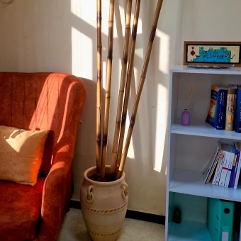 موسسه ی ردپای گمشده