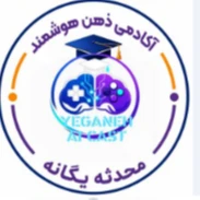آکادمی ذهن هوشمند